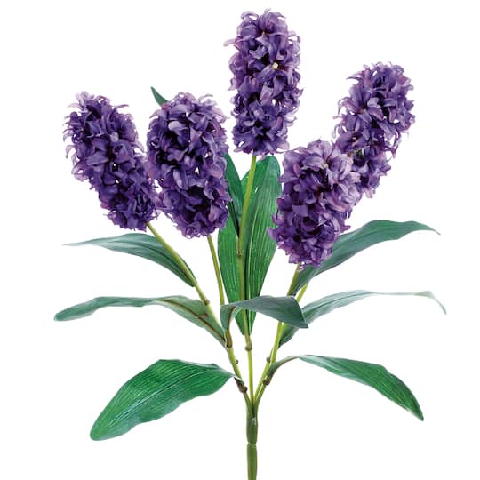 Purple Hyacinth Bush